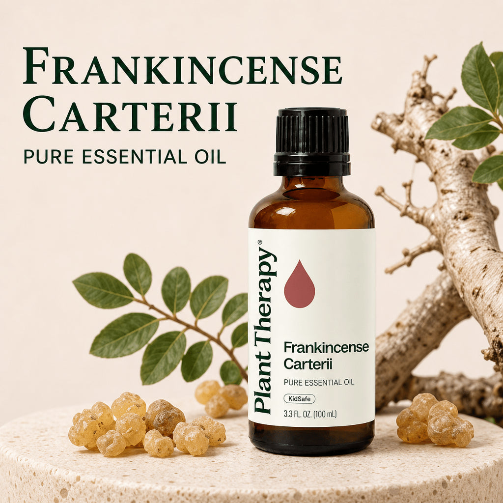 Plant Therapy Frankincense Carterii Essential Oil