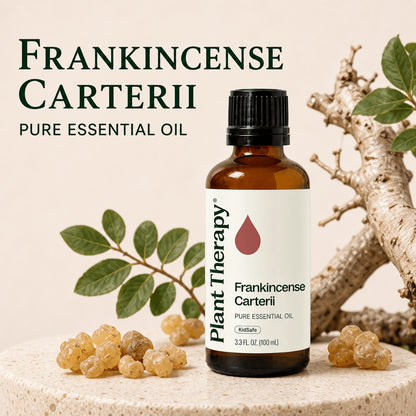 Plant Therapy Frankincense Carterii Essential Oil