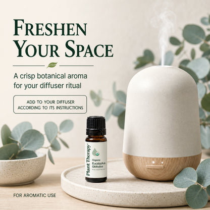 Plant Therapy Organic Eucalyptus Globulus Essential Oil