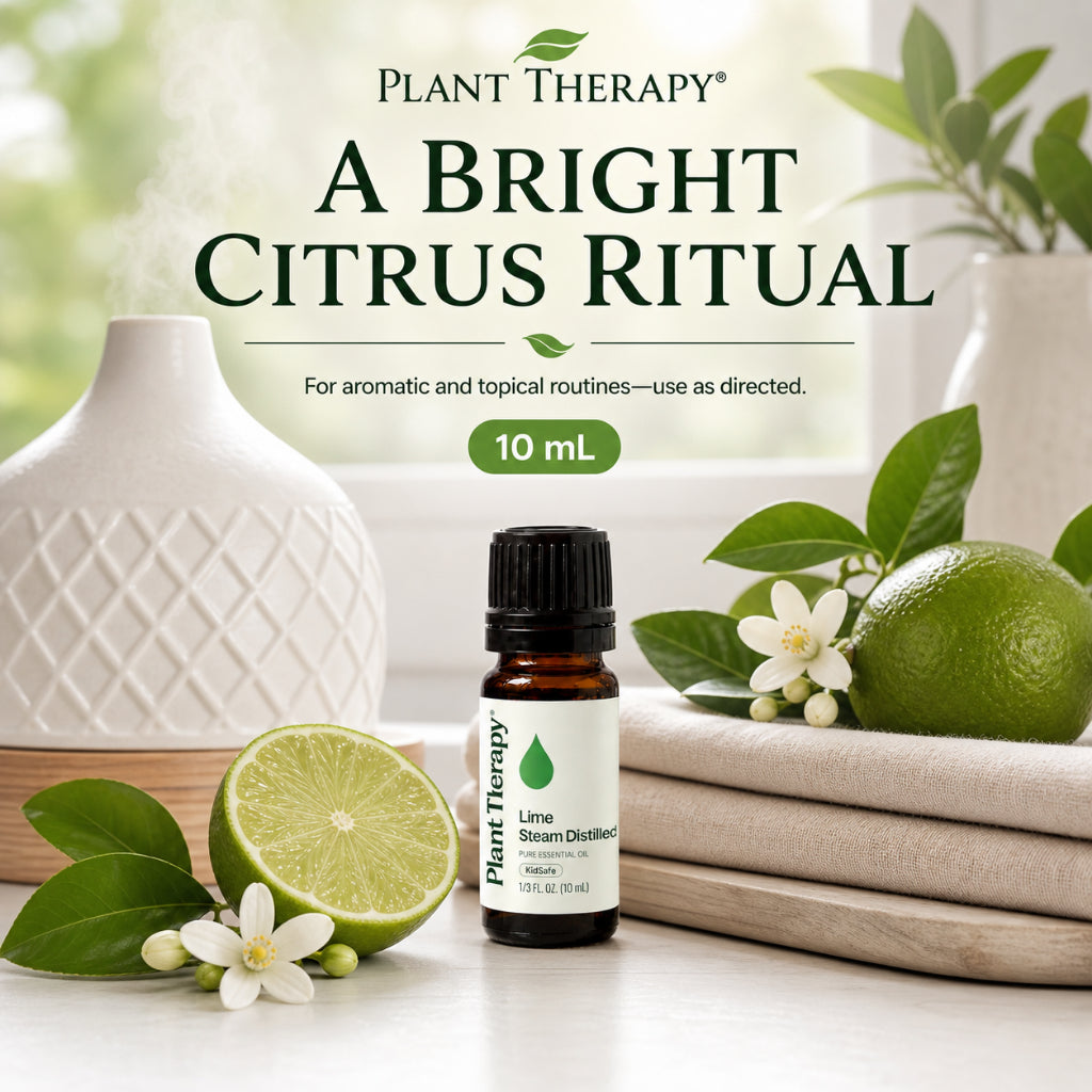 Plant Therapy Lime Steam Distilled Essential Oil