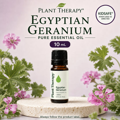 Plant Therapy Geranium Egyptian Essential Oil