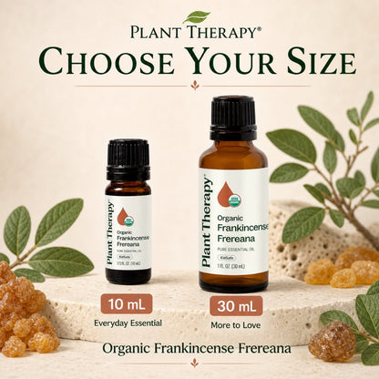 Plant Therapy Organic Frankincense Frereana Essential Oil