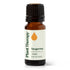 Tangerine Essential Oil product image 10 – Nature Therapy Singapore
