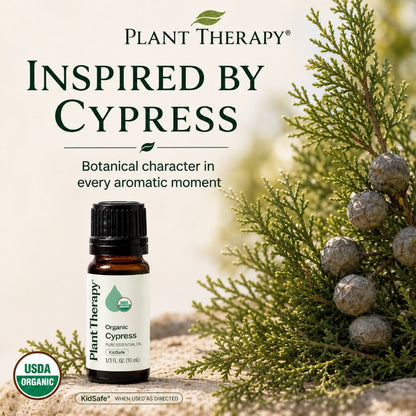 Plant Therapy Organic Cypress Essential Oil