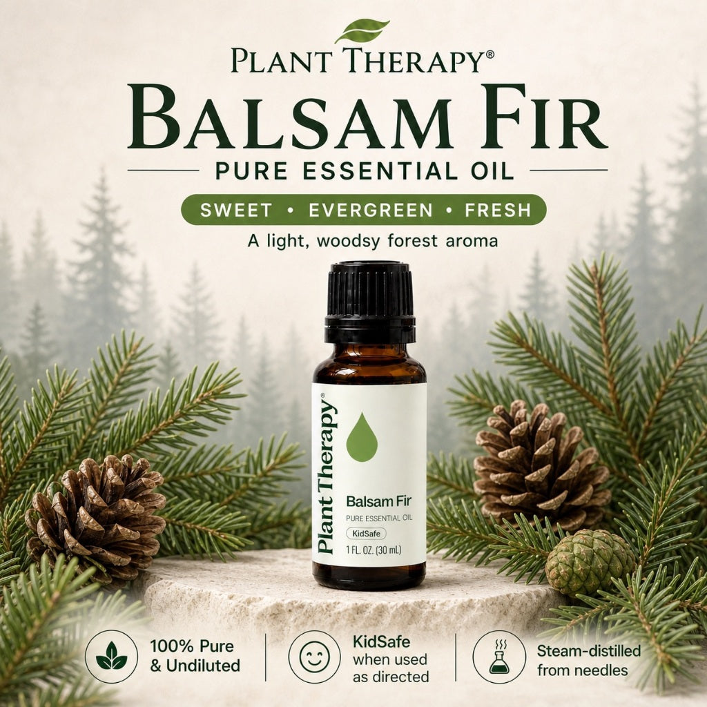 Plant Therapy Balsam Fir Essential Oil