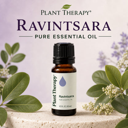 Plant Therapy Ravintsara Essential Oil
