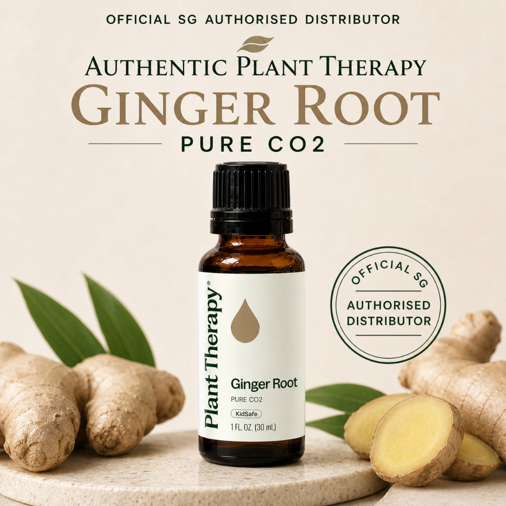 Plant Therapy Ginger Root CO2 Extract
