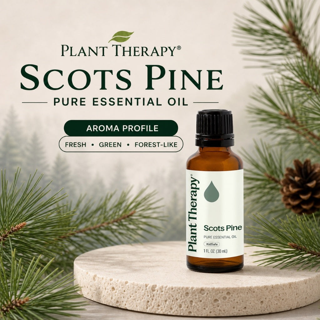 Plant Therapy Scots Pine Essential Oil