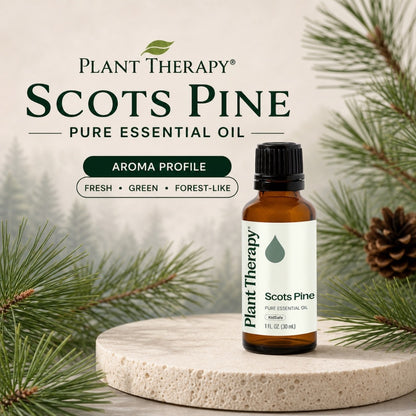 Plant Therapy Scots Pine Essential Oil