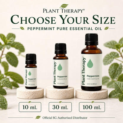 Plant Therapy Peppermint Essential Oil | Official SG Authorised Distributor