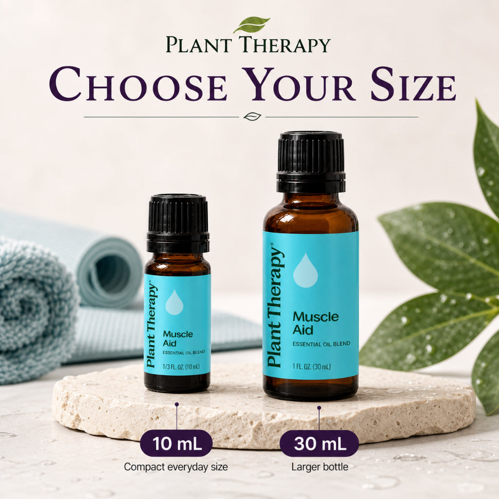 Plant Therapy Muscle Aid Synergy Essential Oil