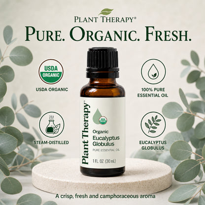 Plant Therapy Organic Eucalyptus Globulus Essential Oil