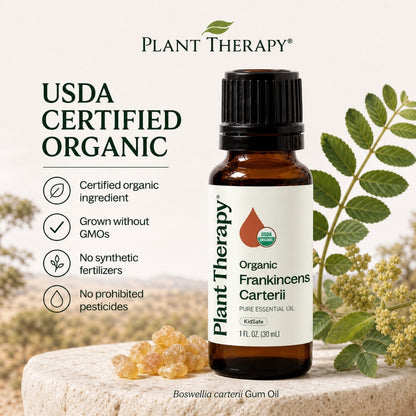 Plant Therapy Frankincense Organic Carteri Essential Oil