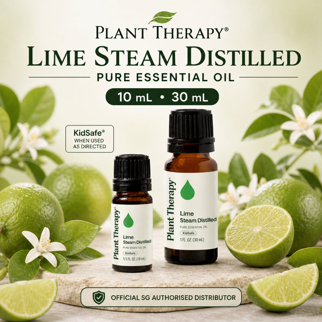 Plant Therapy Lime Steam Distilled Essential Oil