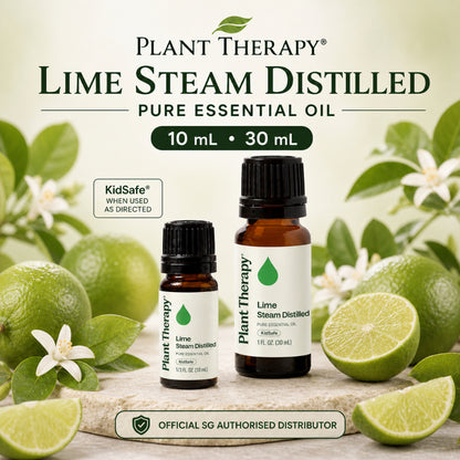 Plant Therapy Lime Steam Distilled Essential Oil