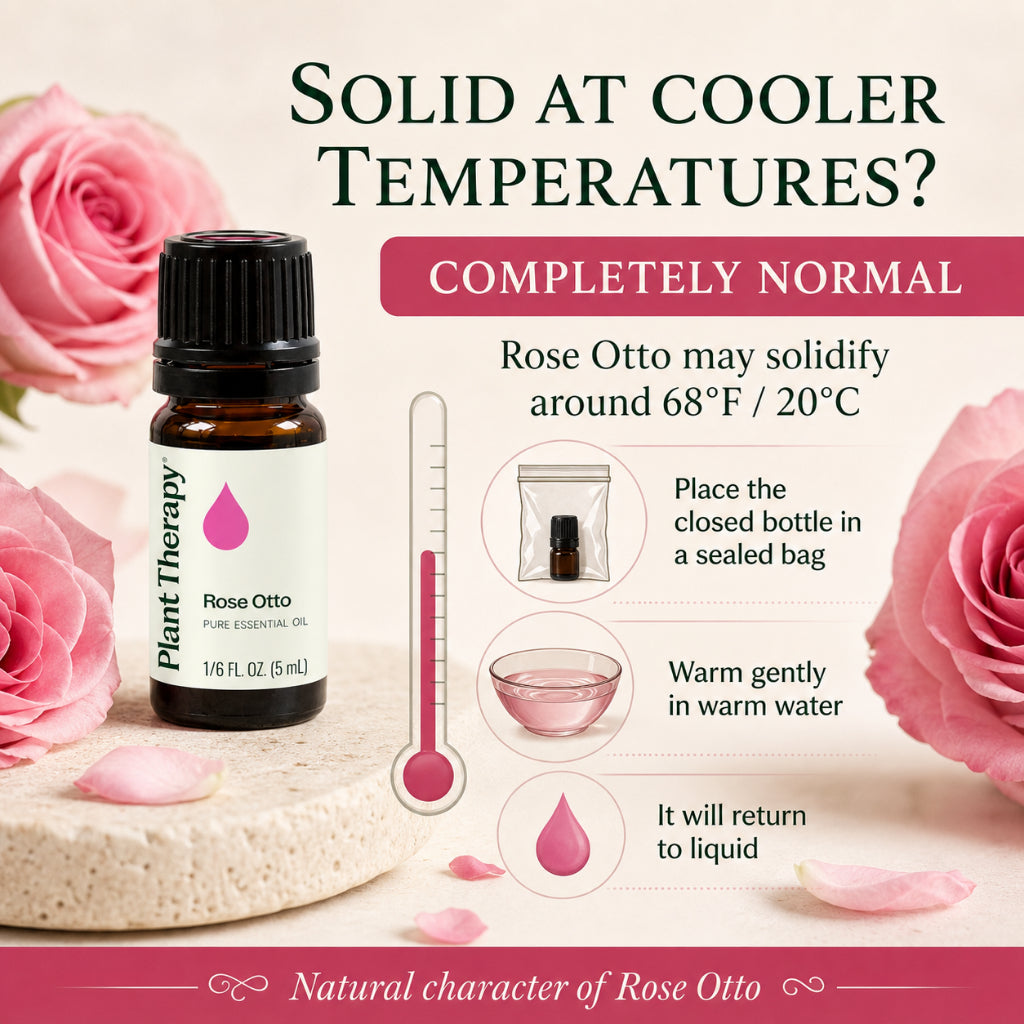 Plant Therapy Rose Otto Essential Oil