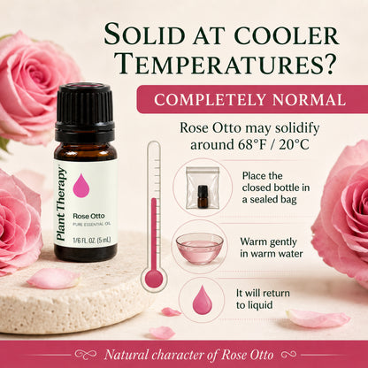 Plant Therapy Rose Otto Essential Oil