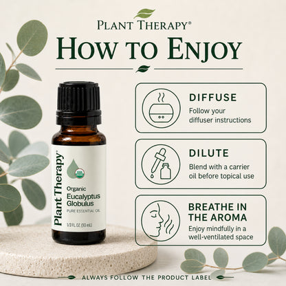 Plant Therapy Organic Eucalyptus Globulus Essential Oil