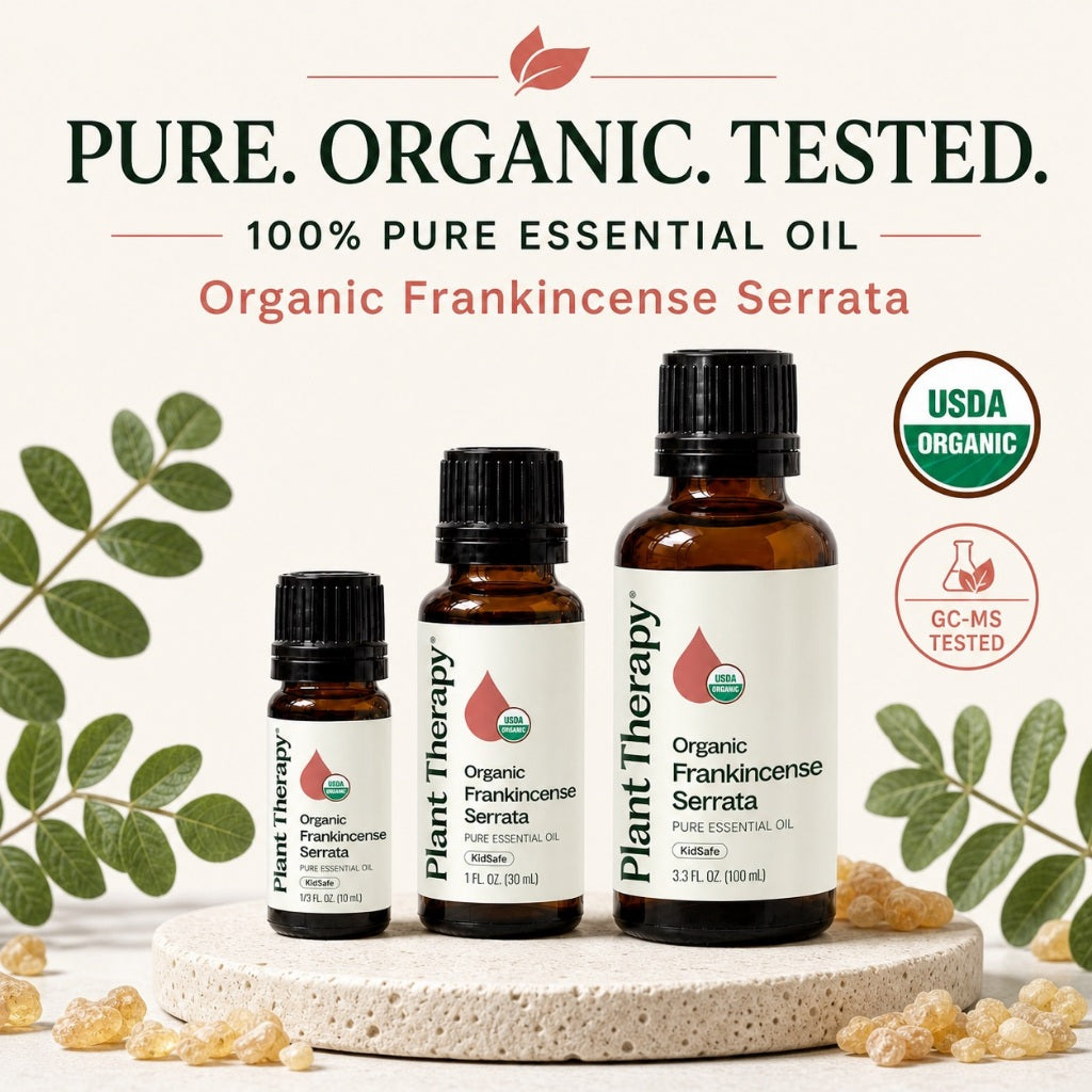Plant Therapy Organic Frankincense Serrata Essential Oil