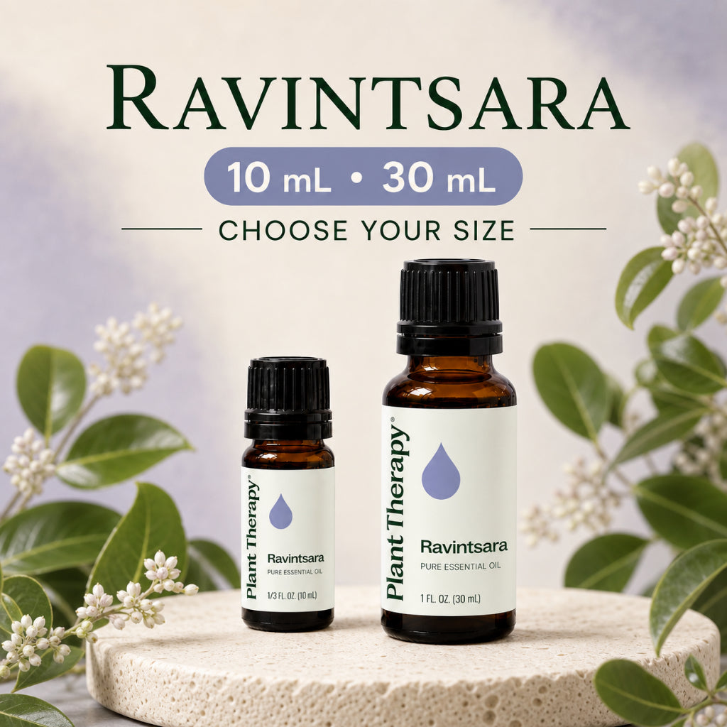 Plant Therapy Ravintsara Essential Oil