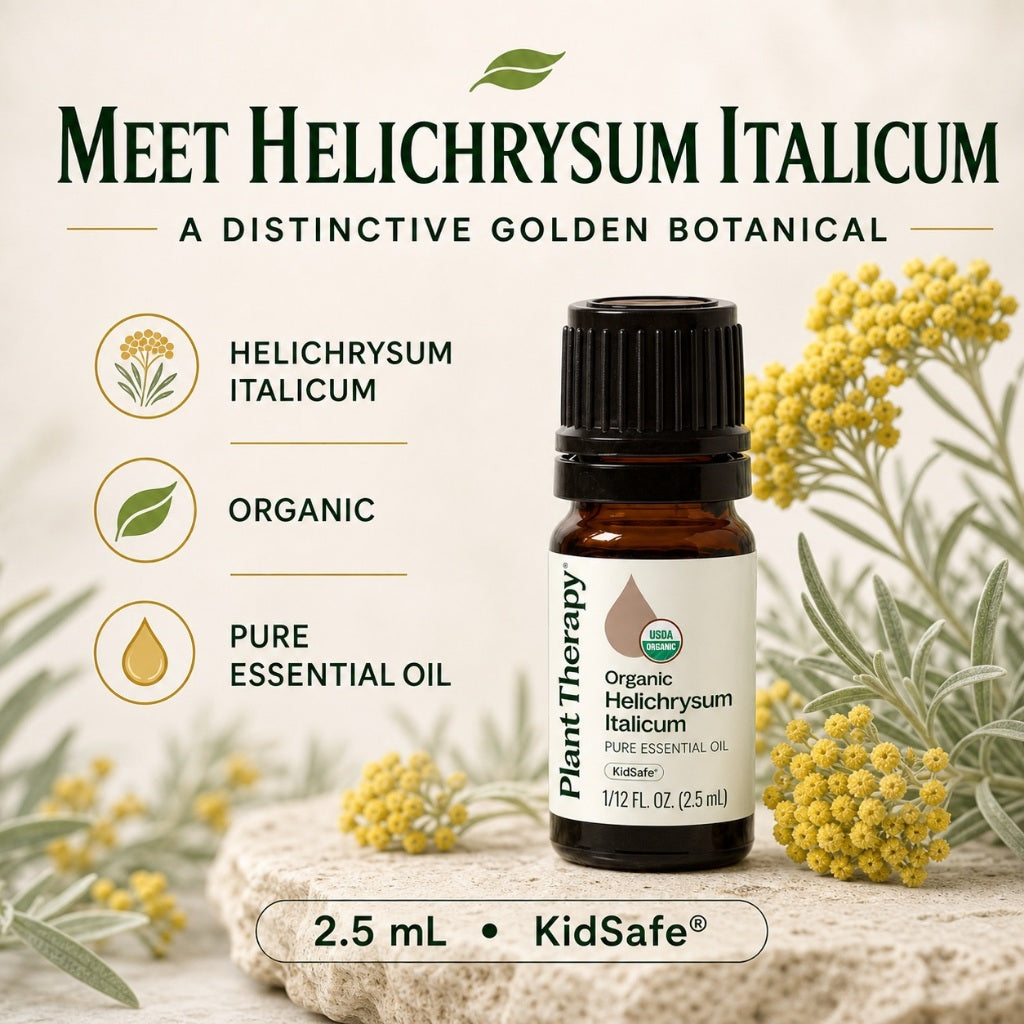 Plant Therapy Organic Helichrysum Italicum Essential Oil