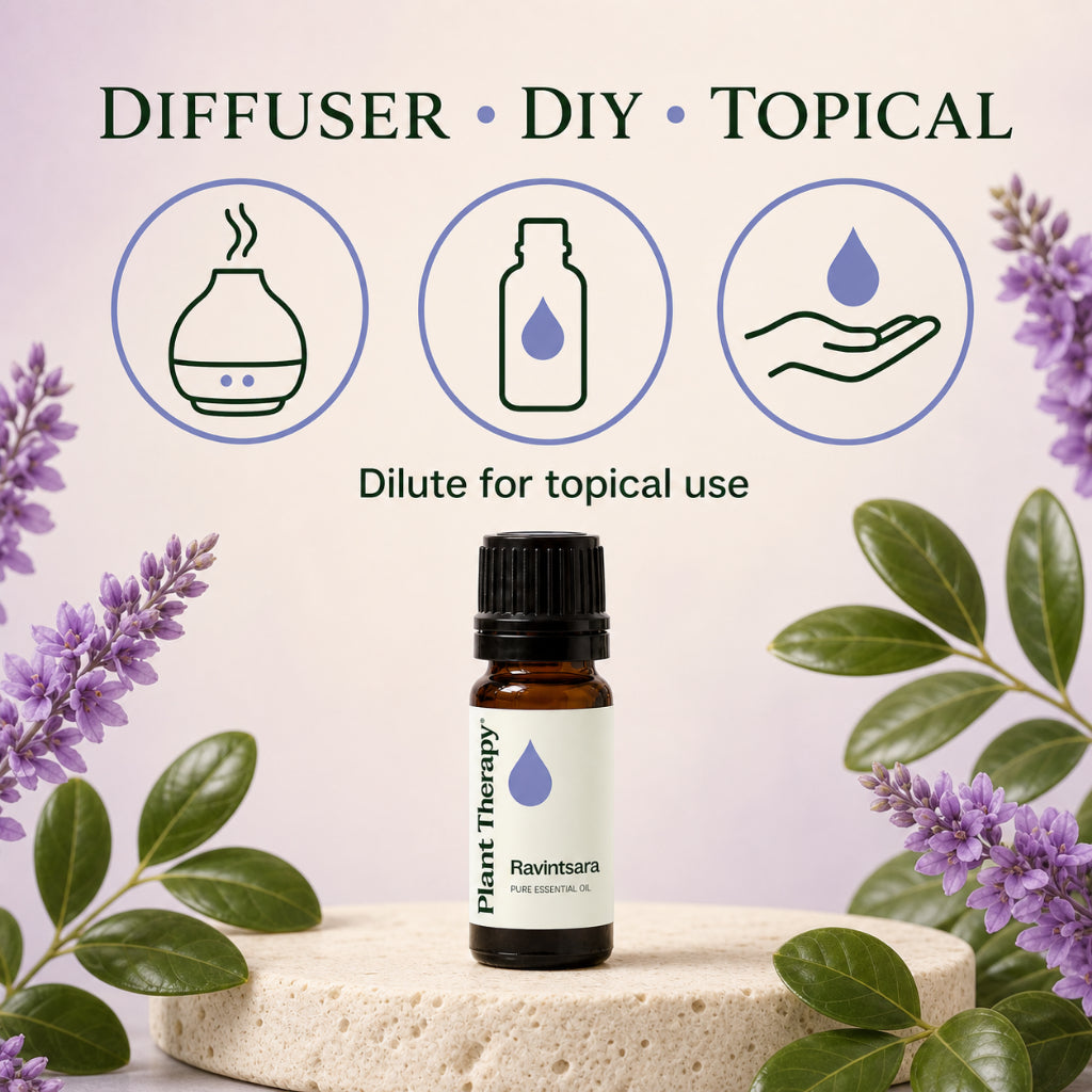 Plant Therapy Ravintsara Essential Oil