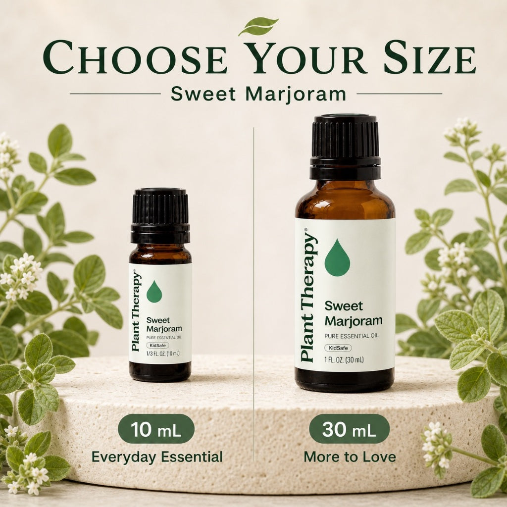 Plant Therapy Sweet Marjoram Essential Oil