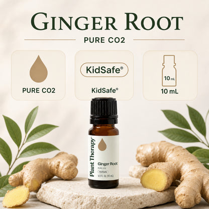 Plant Therapy Ginger Root CO2 Extract