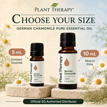 Plant Therapy German Chamomile Essential Oil