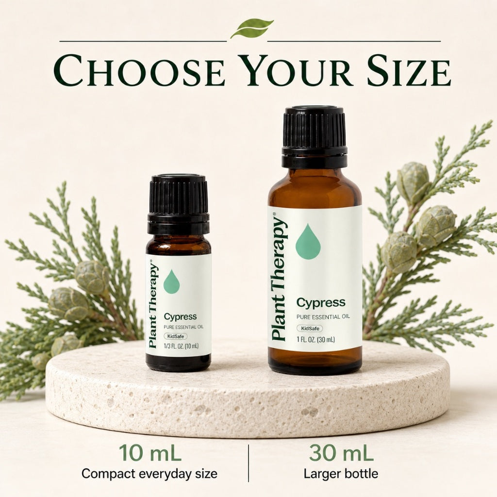 Plant Therapy Cypress Essential Oil