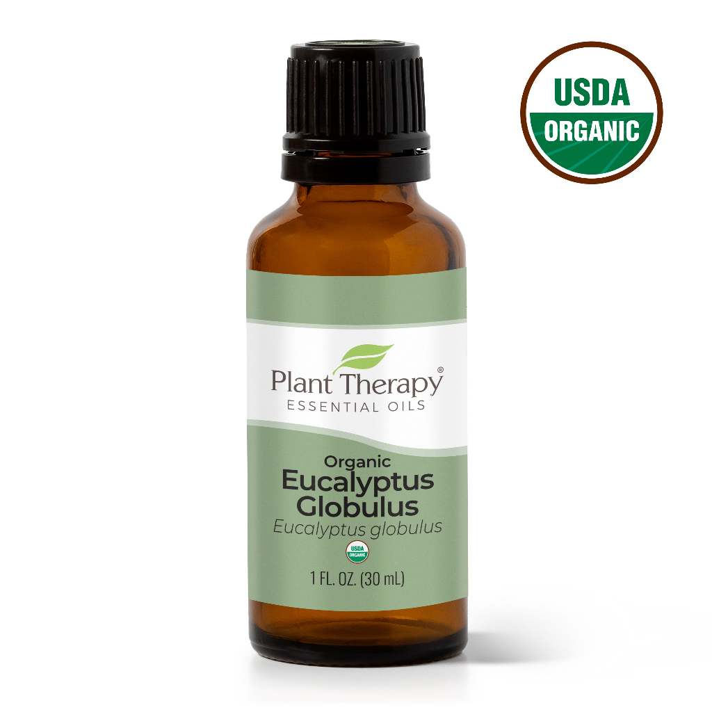 Eucalyptus Globulus Essential Oil product image 13 – Nature Therapy Singapore