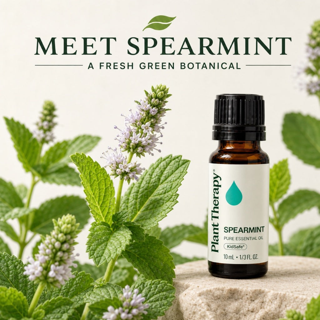 Plant Therapy Spearmint Essential Oil