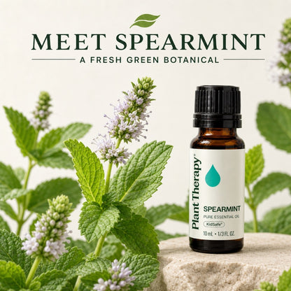 Plant Therapy Spearmint Essential Oil