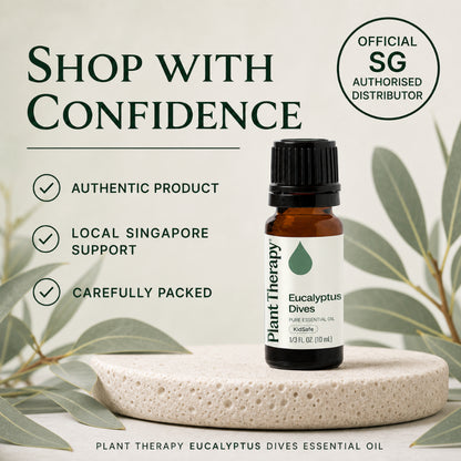 Plant Therapy Eucalyptus Dives Essential Oil