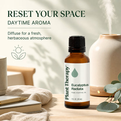 Plant Therapy Eucalyptus Radiata Essential Oil