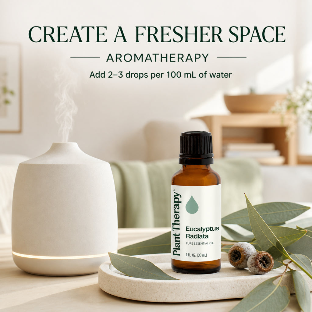 Plant Therapy Eucalyptus Radiata Essential Oil
