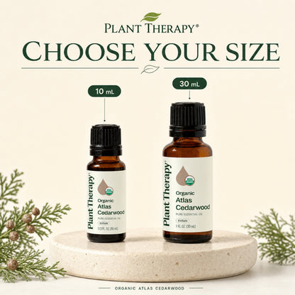 Plant Therapy Organic Cedarwood Atlas Essential Oil