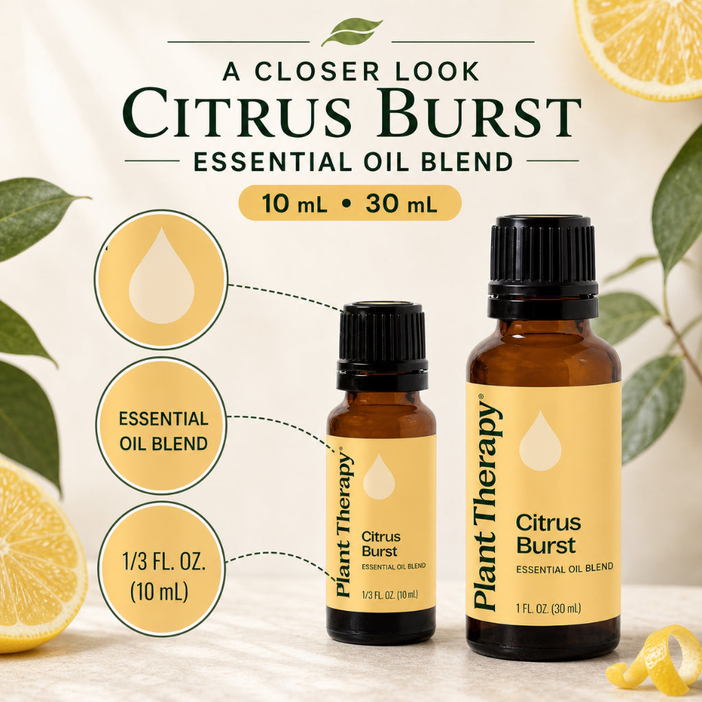 Plant Therapy Citrus Burst Synergy Essential Oil