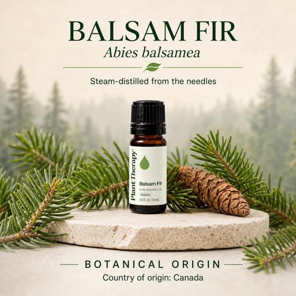 Plant Therapy Balsam Fir Essential Oil