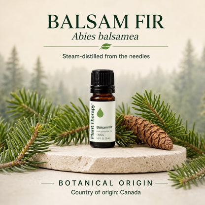 Plant Therapy Balsam Fir Essential Oil