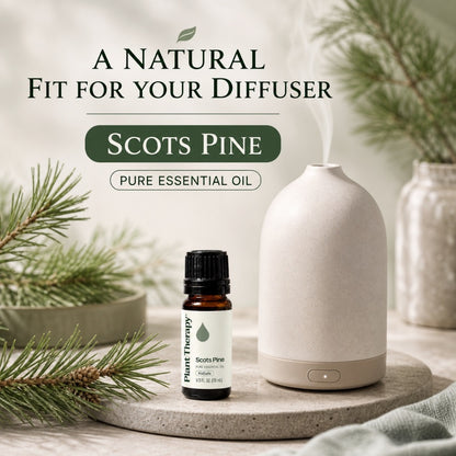 Plant Therapy Scots Pine Essential Oil