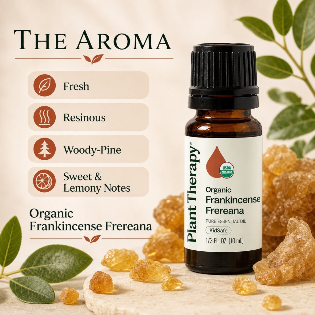 Plant Therapy Organic Frankincense Frereana Essential Oil