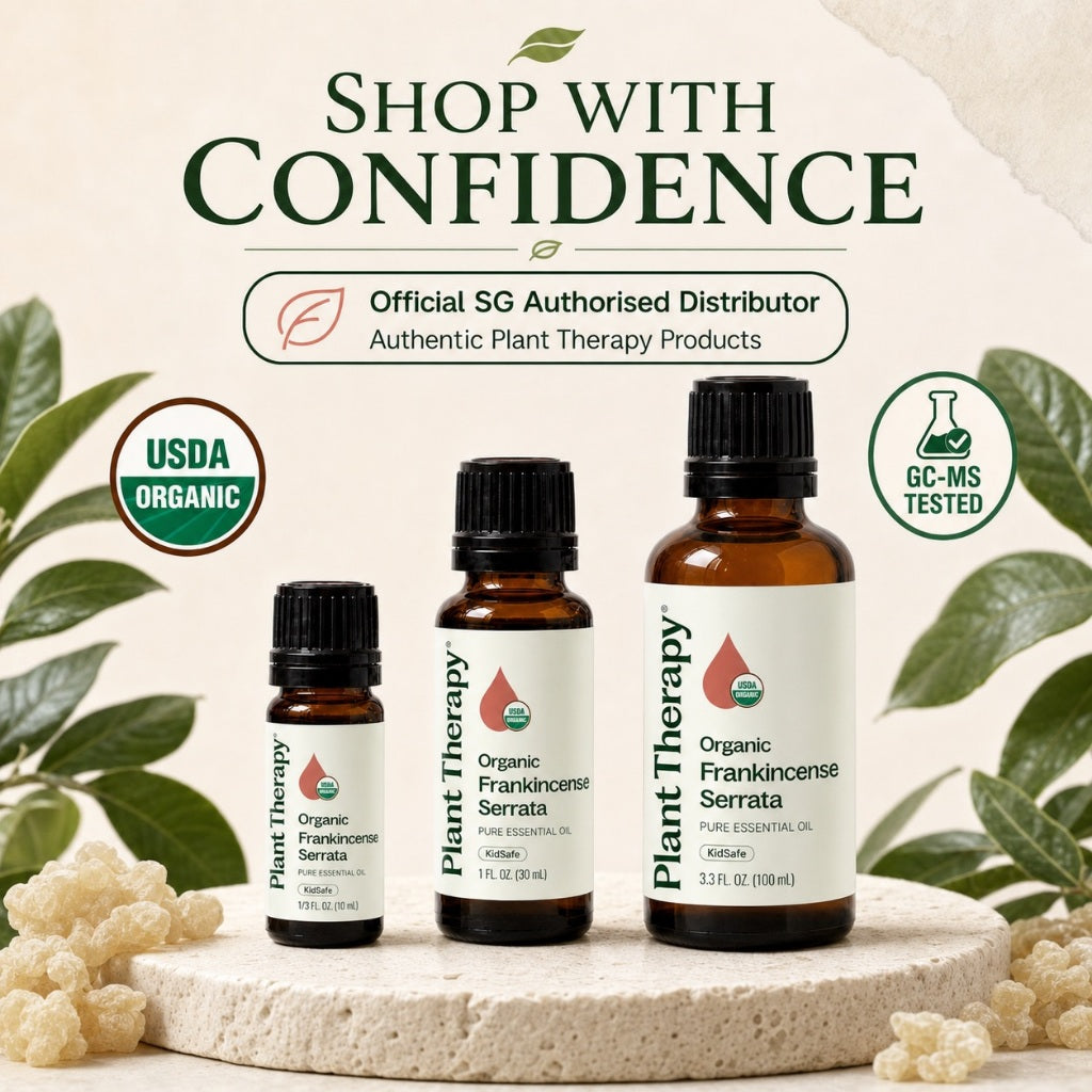 Plant Therapy Organic Frankincense Serrata Essential Oil