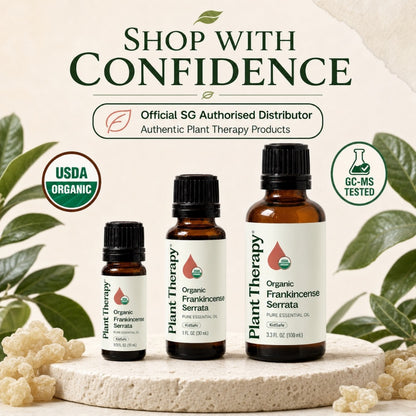 Plant Therapy Organic Frankincense Serrata Essential Oil
