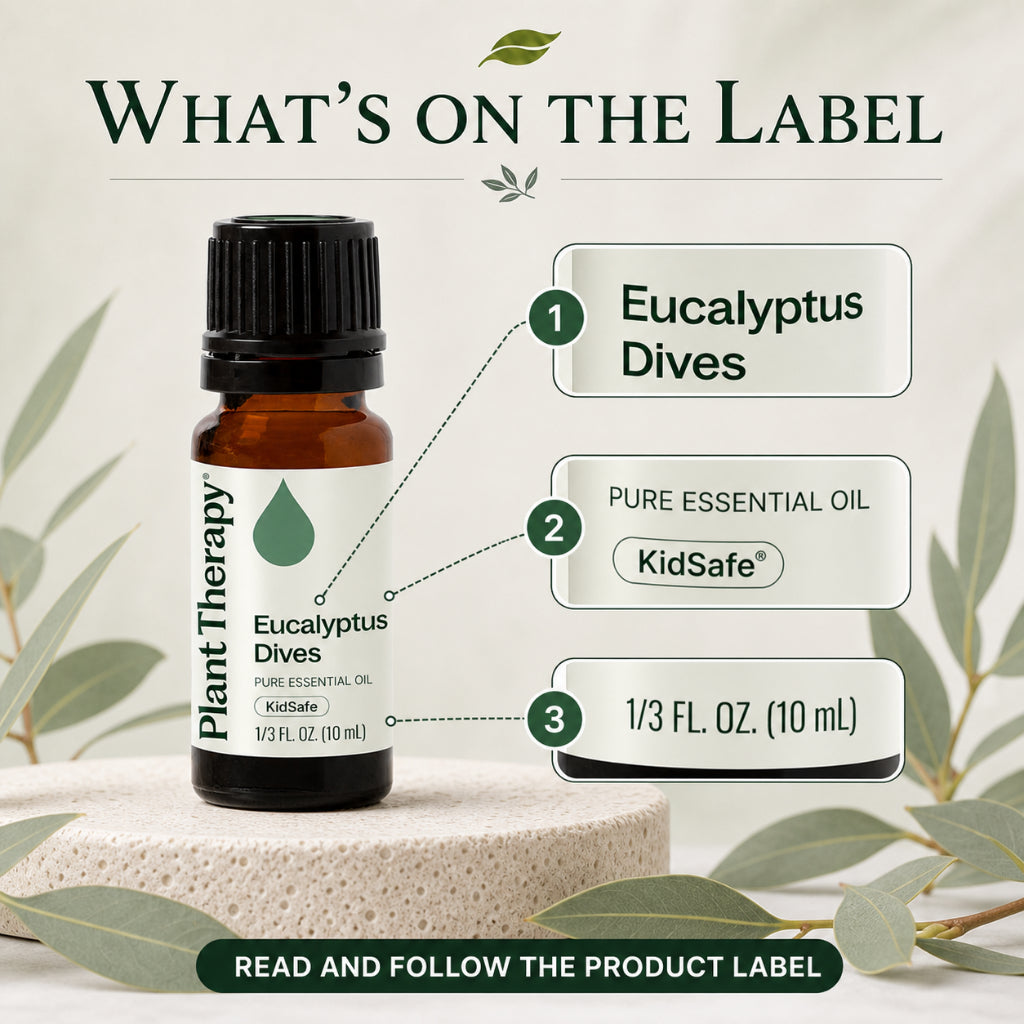 Plant Therapy Eucalyptus Dives Essential Oil