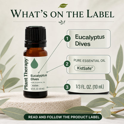Plant Therapy Eucalyptus Dives Essential Oil