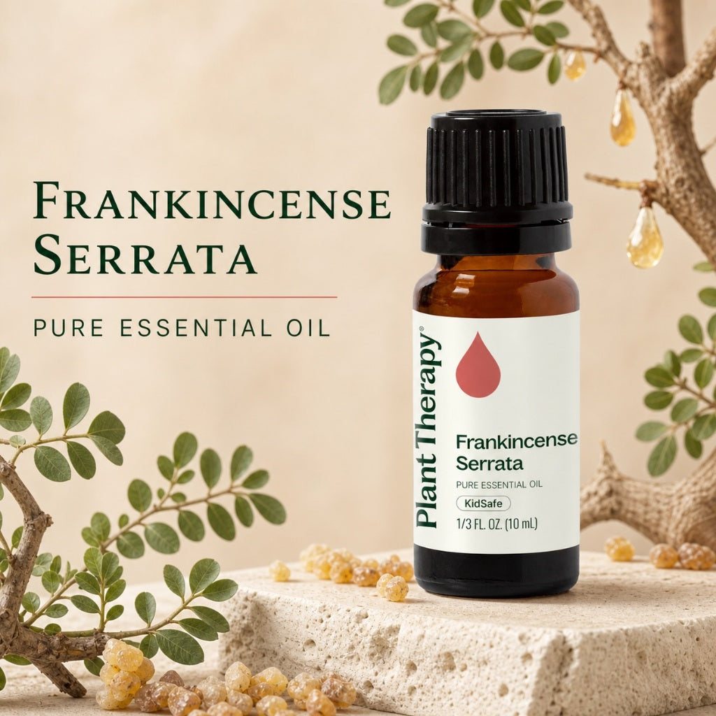 Plant Therapy Frankincense Serrata Essential Oil