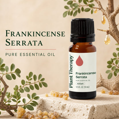 Plant Therapy Frankincense Serrata Essential Oil