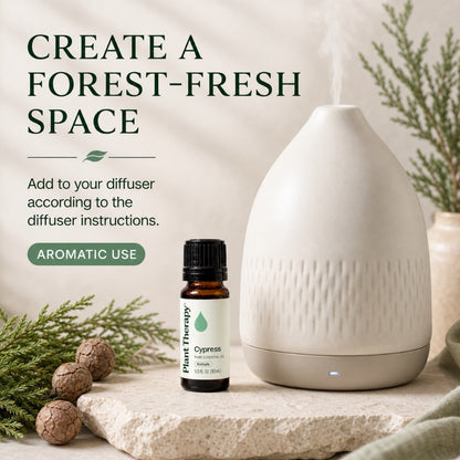 Plant Therapy Cypress Essential Oil