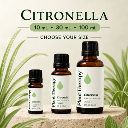 Plant Therapy Citronella Essential Oil